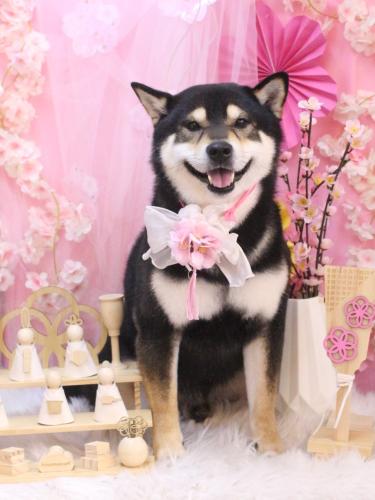 20250323ココくん